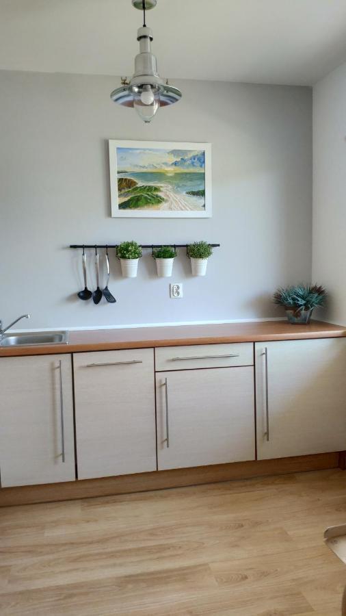 Verde Apartamenty Zielone Tarasy 코워브제크 외부 사진